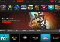 Bodog's site offers everything the gaming enthusiast could wish for