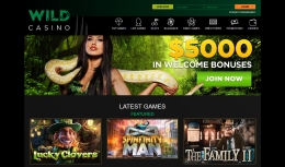 Wild Casino landing page